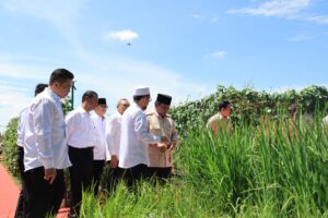 PRABOWO BERAS