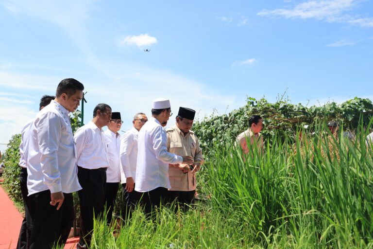PRABOWO BERAS