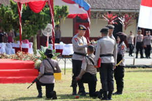 Pembaretan 2